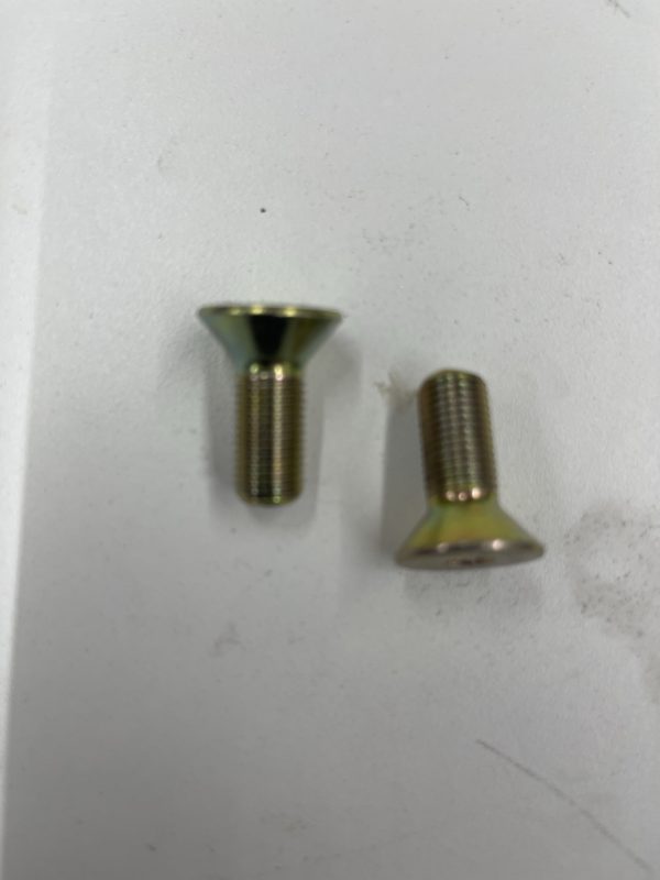 CASM FLATHEAD BOLT SET